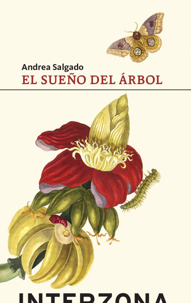 Portada El sueño del árbol