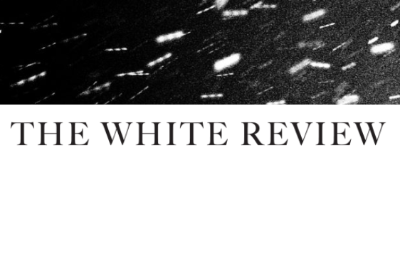 The writer review